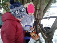 С 15 по 29 января в Патриарших садах проходит акция Покорми птиц. Ученики 4А класса учатся делать правильные кормушки и кормить птиц.